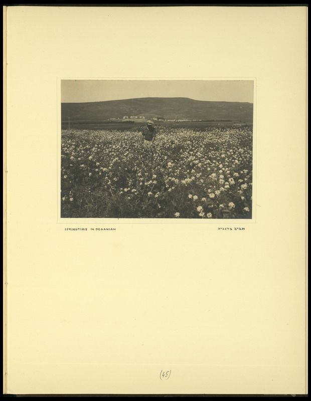 1984 Album Release
